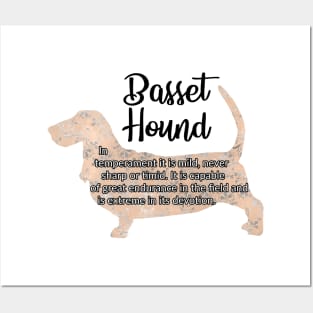 Basset Hound Posters and Art